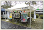 百舌鳥・古市古墳群の政界遺産登録を目指しています。