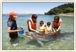 のとじま水族館イルカとのふれあいビーチ