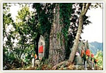 八十八カ所石仏めぐり