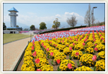 赤坂台総合公園(ドラゴンパーク)