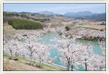 矢木羽湖