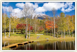 羊蹄山自然公園の風景(自然と調和したキャンプ場あり)