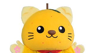 ゆずにゃん | 日本ご当地キャラクター協会