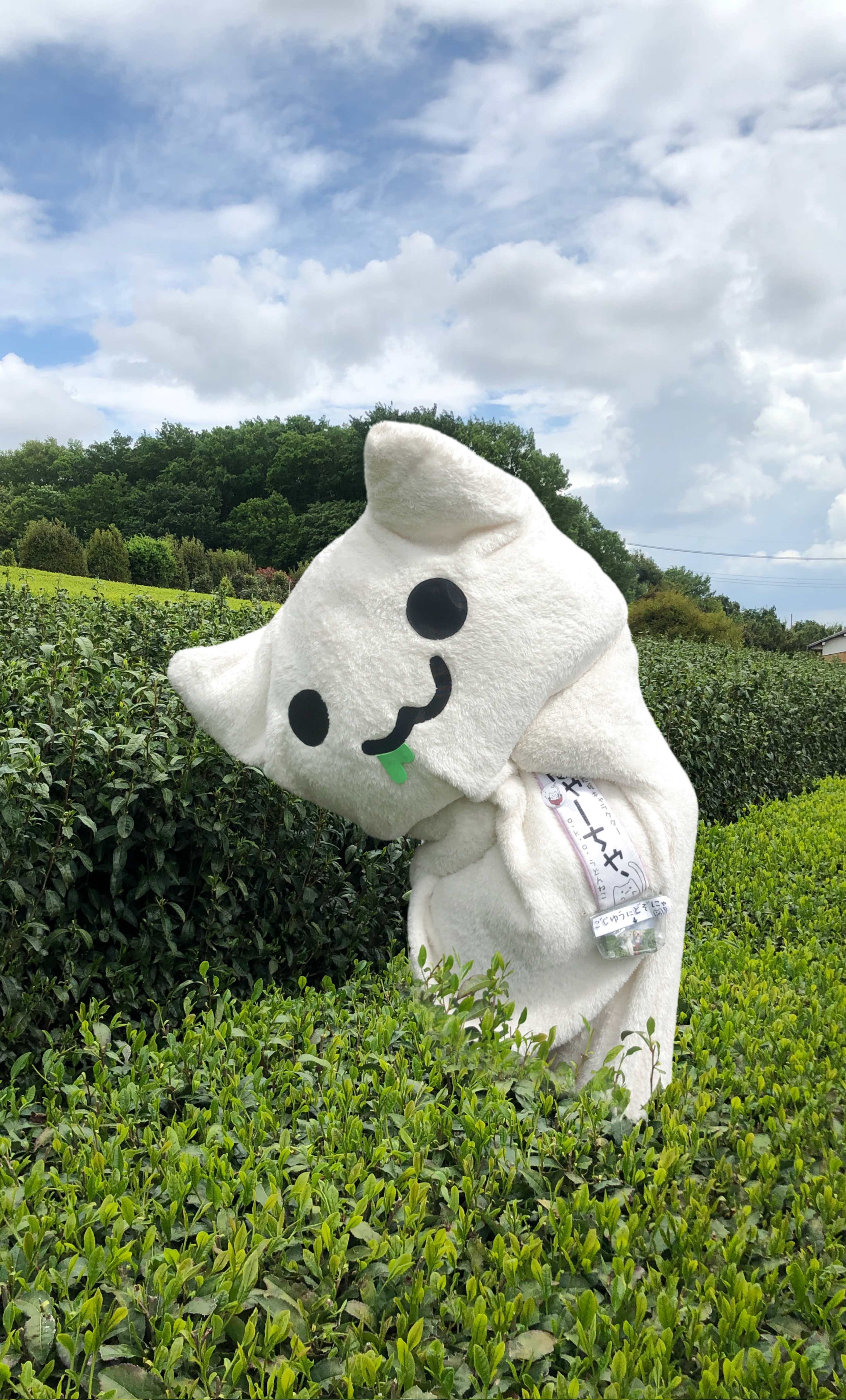 にゃーちゃ、 | 日本ご当地キャラクター協会